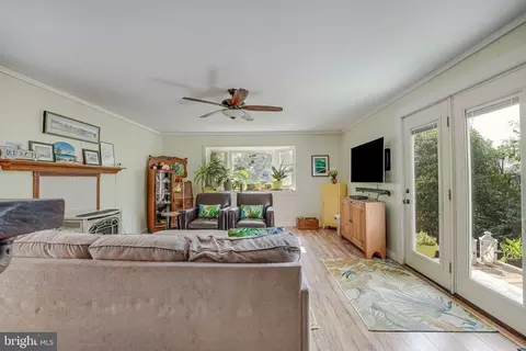 6025 Brunswick St, Springfield, VA 22150 photo 13