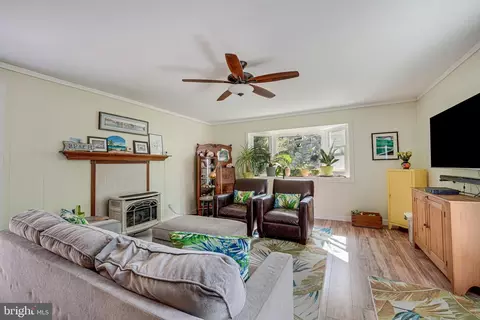 6025 Brunswick St, Springfield, VA 22150 photo 14