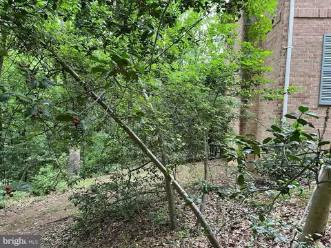 8510 Sparger St, Mclean, VA 22102 photo 7