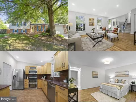 8374 Magic Leaf Rd, Springfield, VA 22153