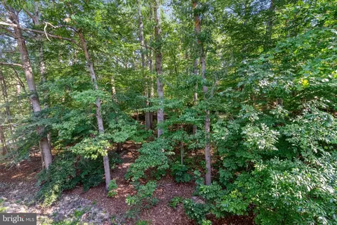 5905 Noblestown Rd #H, Springfield, VA 22152 photo 20