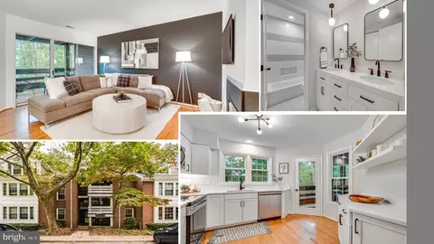 11108 Beaver Trail Ct, Reston, VA 20191