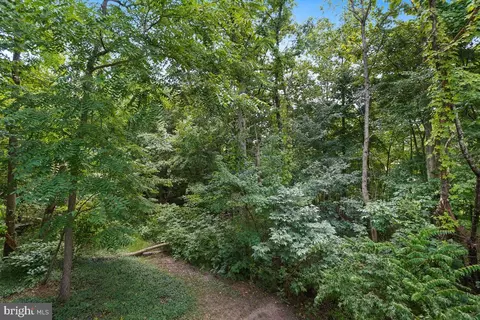 11919 Moss Point Ln, Reston, VA 20194 photo 46