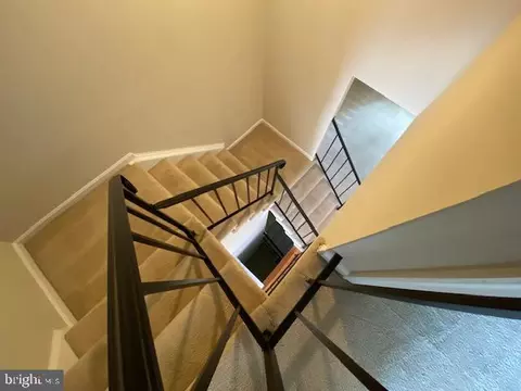 6608 Green Ash Ct, Springfield, VA 22152 photo 25