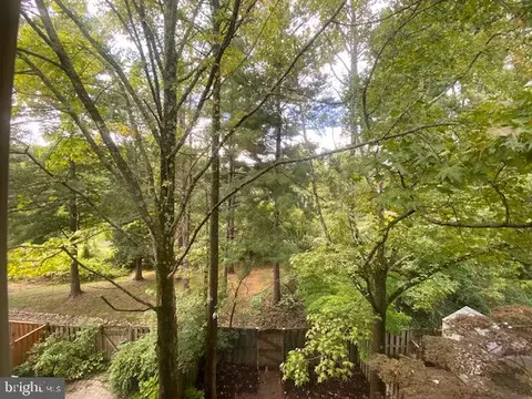 6608 Green Ash Ct, Springfield, VA 22152 photo 39