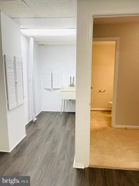 6608 Green Ash Ct, Springfield, VA 22152 photo 33