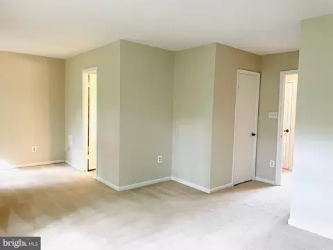 6608 Green Ash Ct, Springfield, VA 22152 photo 18