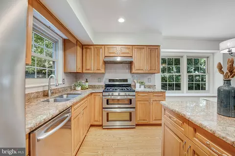 7409 Shady Palm Dr, Springfield, VA 22153 photo 15