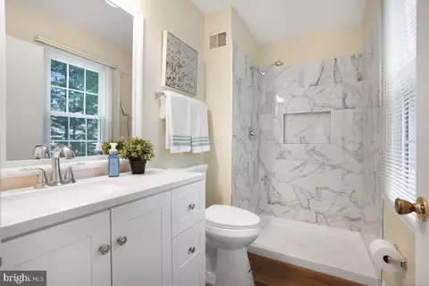 Bath - 4407 Tulip Tree Ct, Chantilly, VA 20151 photo 3 of 3