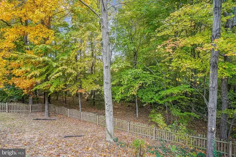7207 Flower Tuft Ct, Springfield, VA 22153 photo 35