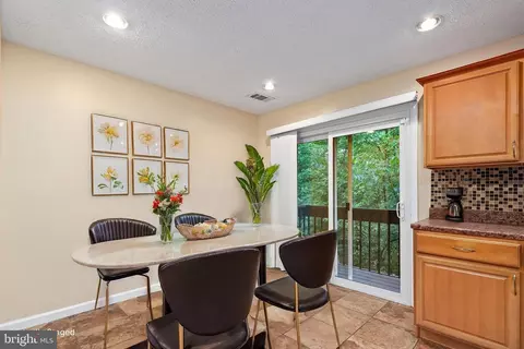 2256 White Cornus Ln, Reston, VA 20191 photo 6