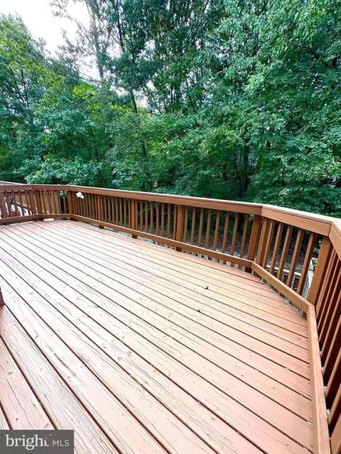 7054 Solomon Seal Ct, Springfield, VA 22152 photo 13