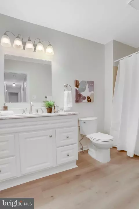Bath - 7400 Silver Pine Dr, Springfield, VA 22153 photo 3 of 9