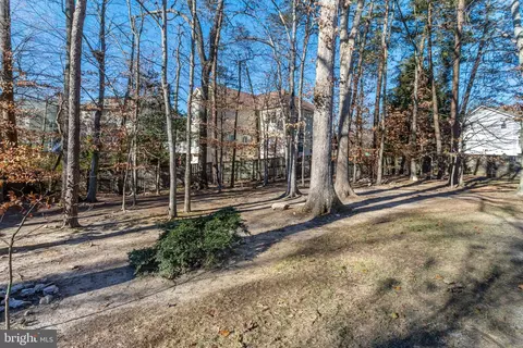 Exterior - 7400 Silver Pine Dr, Springfield, VA 22153 photo 11 of 13