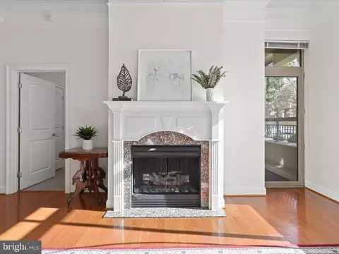 Living - 1450 Emerson Ave #G01, Mclean, VA 22101 photo 3 of 8