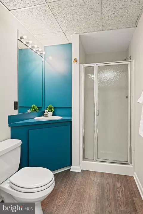 Bath - 735 Potomac River Rd, Mclean, VA 22102 photo 11 of 12