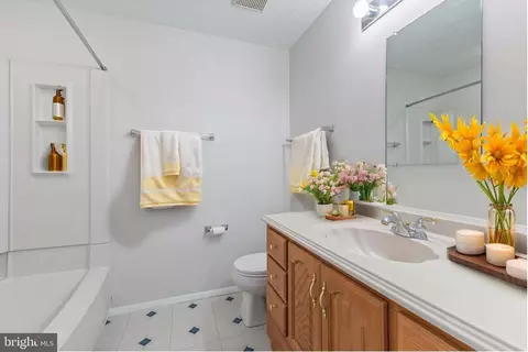 Bath - 8031 Orange Plank Rd, Springfield, VA 22153 photo 4 of 4