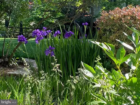 Other - 12106 Walnut Branch Rd, Reston, VA 20194 photo 10 of 12