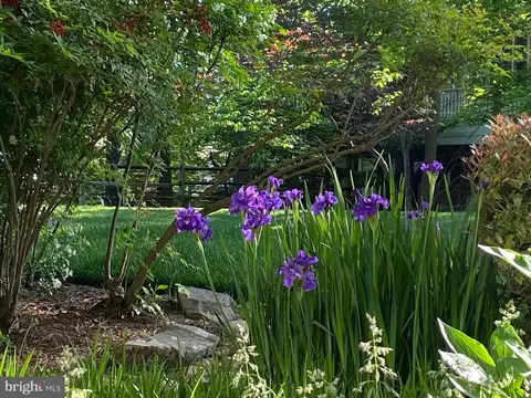 Exterior - 12106 Walnut Branch Rd, Reston, VA 20194 photo 11 of 14