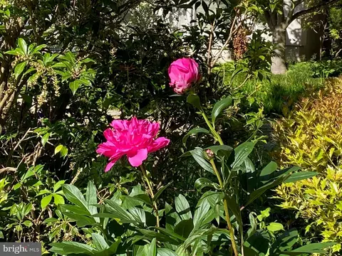 Other - 12106 Walnut Branch Rd, Reston, VA 20194 photo 11 of 12