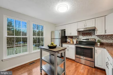 1610 Fieldthorn Dr, Reston, VA 20194 photo 18