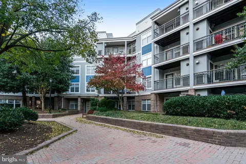 5565 Seminary Rd #313, Falls Church, VA 22041