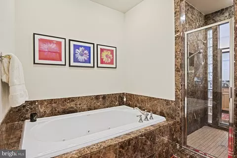 Bath - 7218 Farm Meadow Ct, Mclean, VA 22101 photo 4 of 9