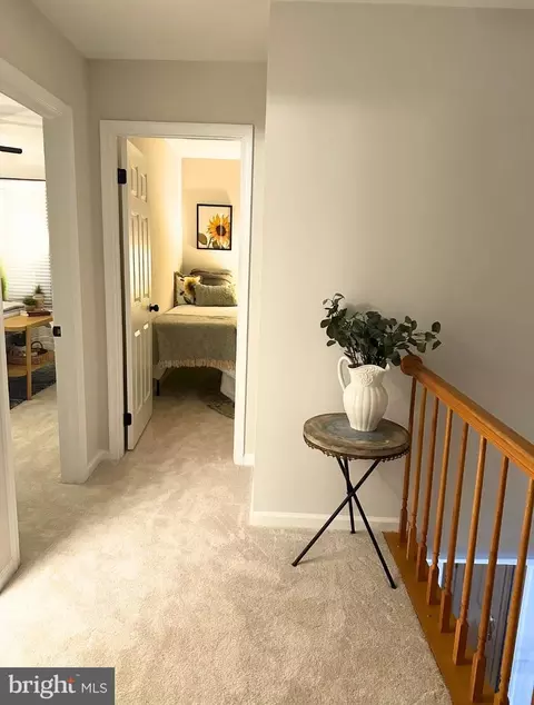 8410 Millwood Dr, Springfield, VA 22152 photo 20