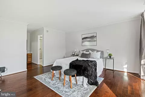 6800 Fleetwood Rd #320, Mclean, VA 22101 photo 16