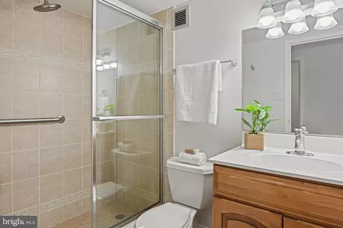 6800 Fleetwood Rd #320, Mclean, VA 22101 photo 21