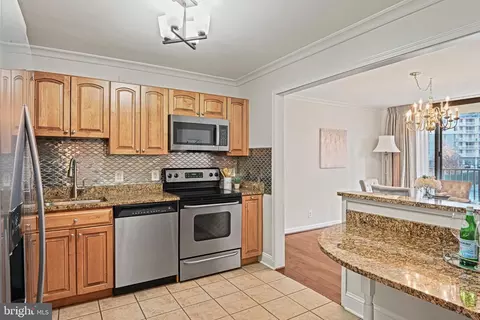 6800 Fleetwood Rd #320, Mclean, VA 22101 photo 14