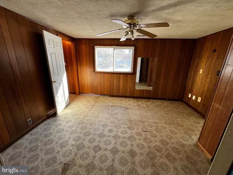 7043 Calamo St, Springfield, VA 22150 photo 18