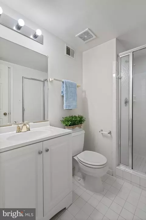 Bath - 1537 Cedar Ave, Mclean, VA 22101 photo 10 of 10