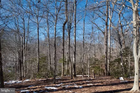 7824 Marconi Ct, Springfield, VA 22153 photo 36