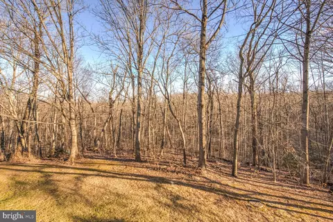 1642 Oak Spring Way, Reston, VA 20190 photo 30
