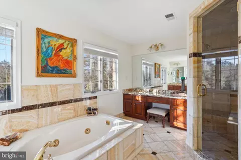 Bath - 1071 Spring Hill Rd, Mclean, VA 22102 photo 3 of 6