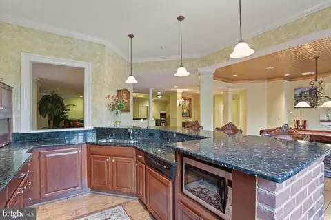8896 Olson Ct, Mclean, VA 22102 photo 56