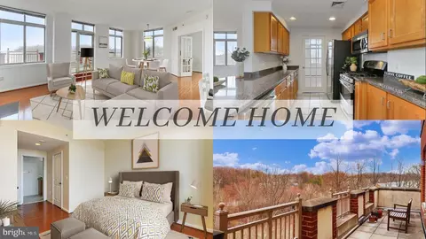 4480 Market Commons Dr #709, Fairfax, VA 22033