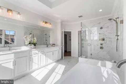 Bath - 1767 Proffit Rd, Vienna, VA 22182 photo 5 of 8