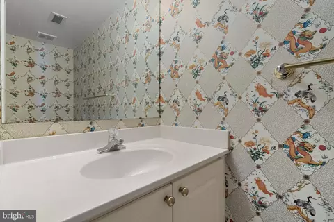 Bath - 1625 International Dr #TH-2, Mclean, VA 22102 photo 1 of 3