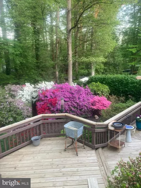 5513 Sedgwick Ln, Springfield, VA 22151 photo 27