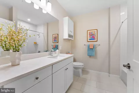 1669 Bandit Loop #206A, Reston, VA 20190 photo 14