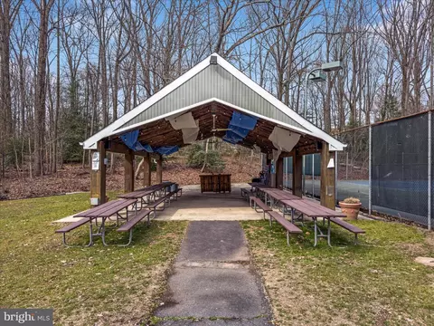 Other - 11922 Blue Spruce Rd, Reston, VA 20191 photo 15 of 20