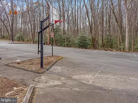 Exterior - 11922 Blue Spruce Rd, Reston, VA 20191 photo 11 of 13