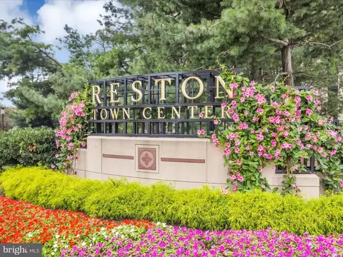 Other - 11922 Blue Spruce Rd, Reston, VA 20191 photo 18 of 20