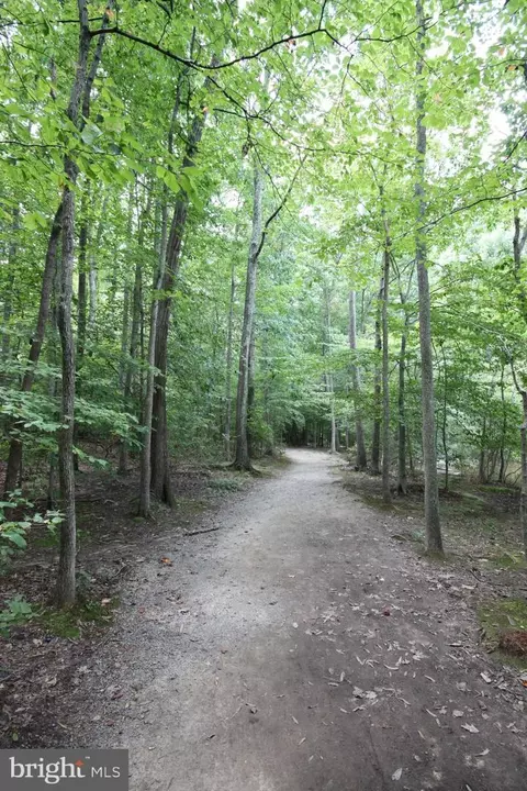 6508 Raftelis Rd, Burke, VA 22015 photo 4