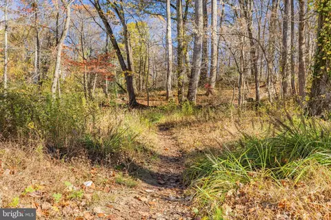 Other - 1554 Forest Villa Ln, Mclean, VA 22101 photo 12 of 13