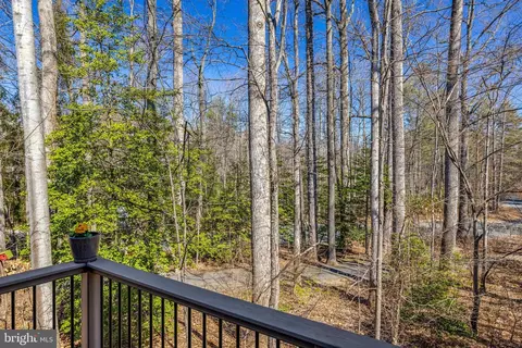Exterior - 11440 Hollow Timber Ct, Reston, VA 20194 photo 4 of 12