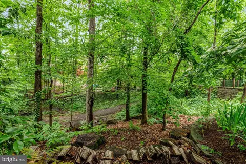7006 Maple Tree Ln, Springfield, VA 22152 photo 46