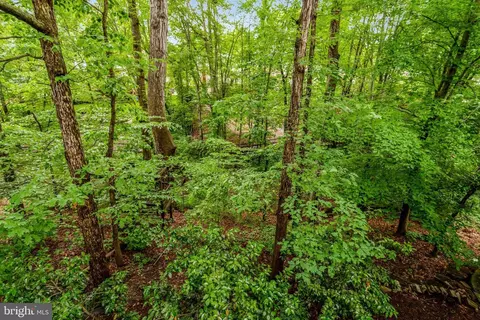 7006 Maple Tree Ln, Springfield, VA 22152 photo 45